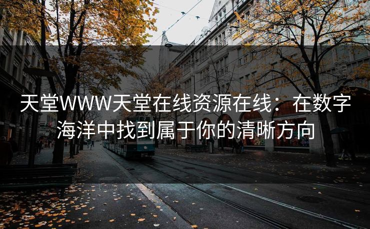 天堂WWW天堂在线资源在线：在数字海洋中找到属于你的清晰方向